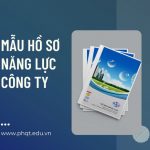 mẫu hồ sơ năng lực