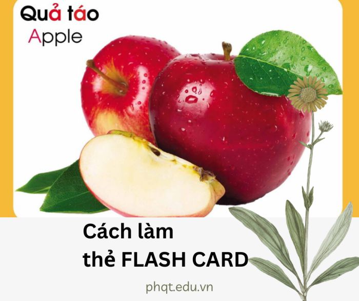 cách làm thẻ flash card